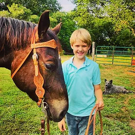 Rocking L Equine